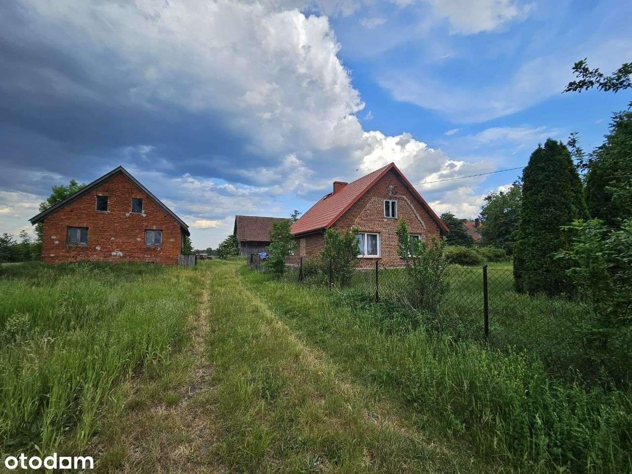 Dom na dużej działce, wraz z zabudowaniami-7