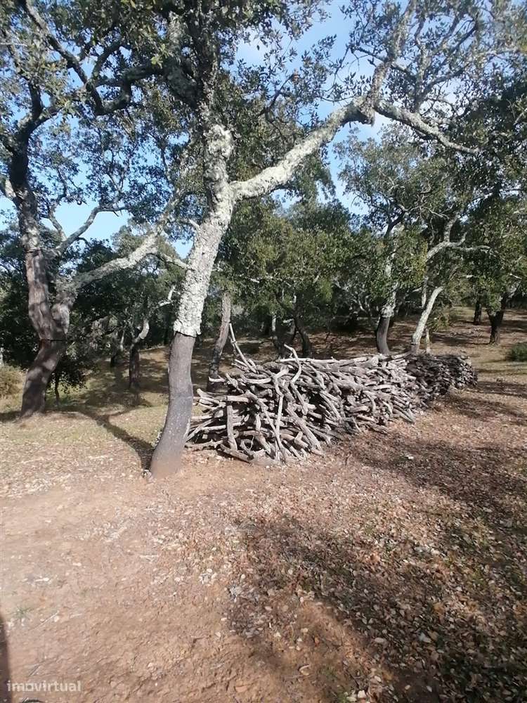 Terreno em Melides - Grande imagem: 3/12