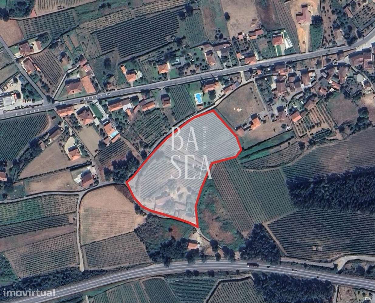 Quinta com 4 Habitações 1 Armazém e 8.900m2 de Vinha em Barbeita Monçã - Grande imagem: 3/12