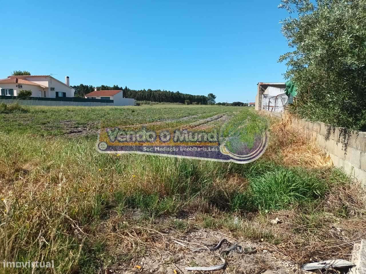 Terreno em Marinhais (M645) - Grande imagem: 5/5