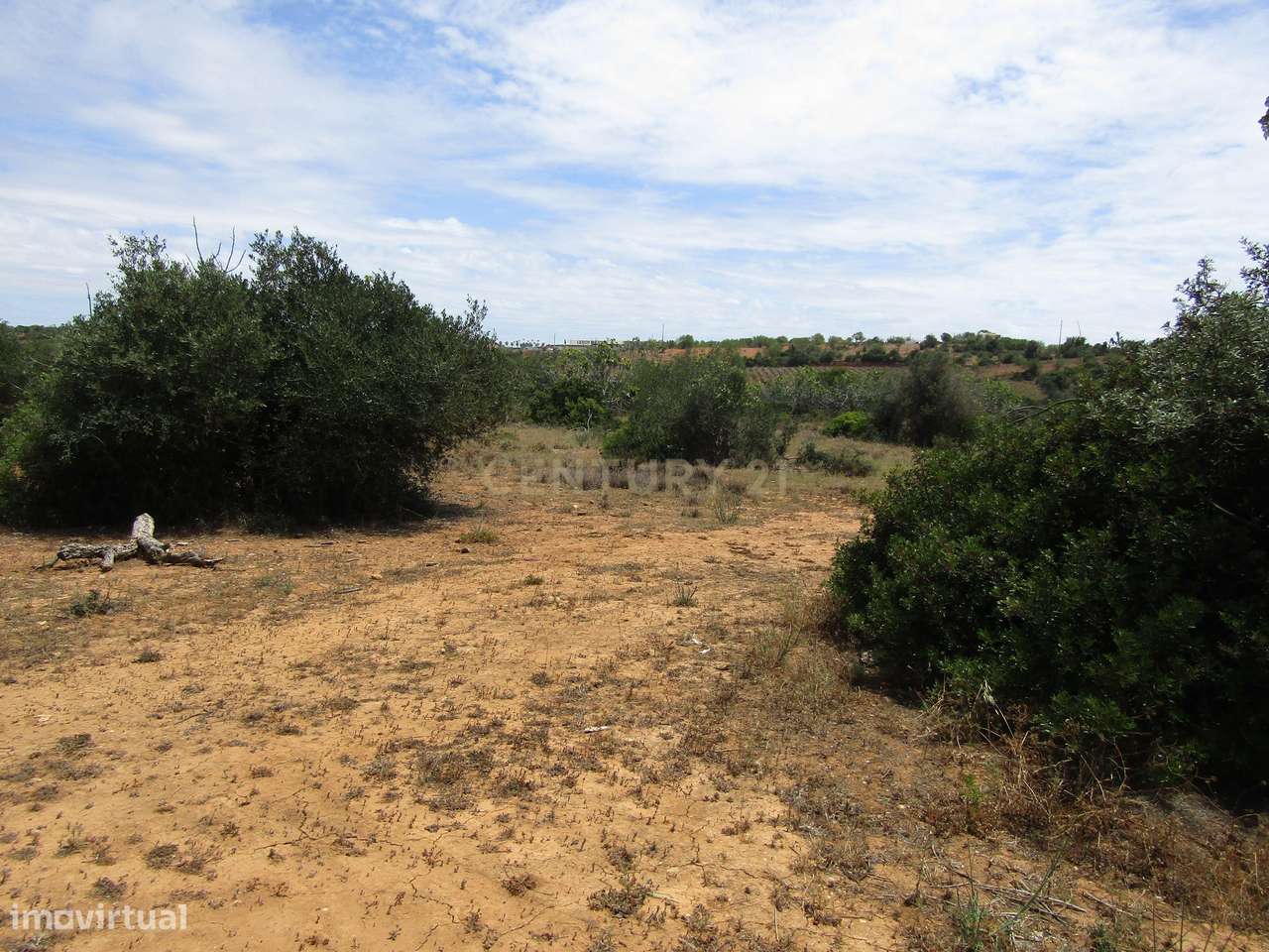 Terreno Rústico - Grande imagem: 2/7