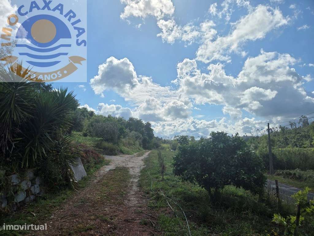 Quintinha de 1.800m² com Casa de Apoio Equipada e Água de Poço-14