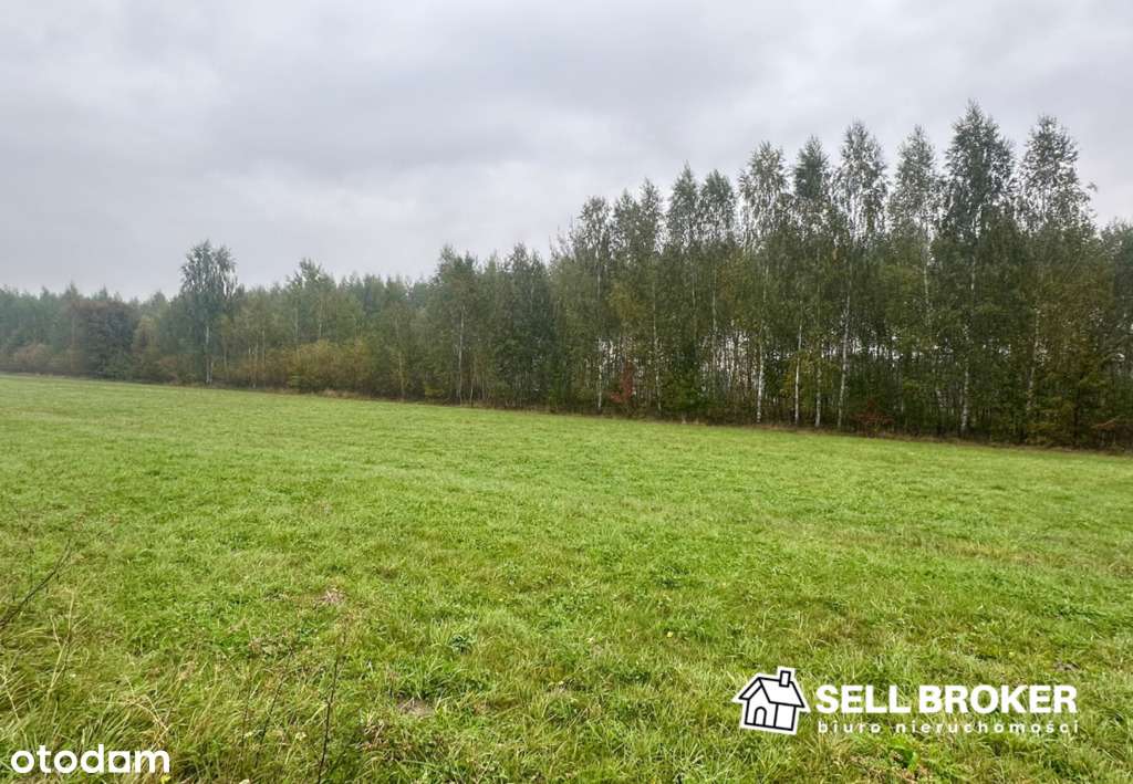 Działka usługowa blisko A2 / 5091 m2 / pod firmę - Pełny obrazek: 4/8