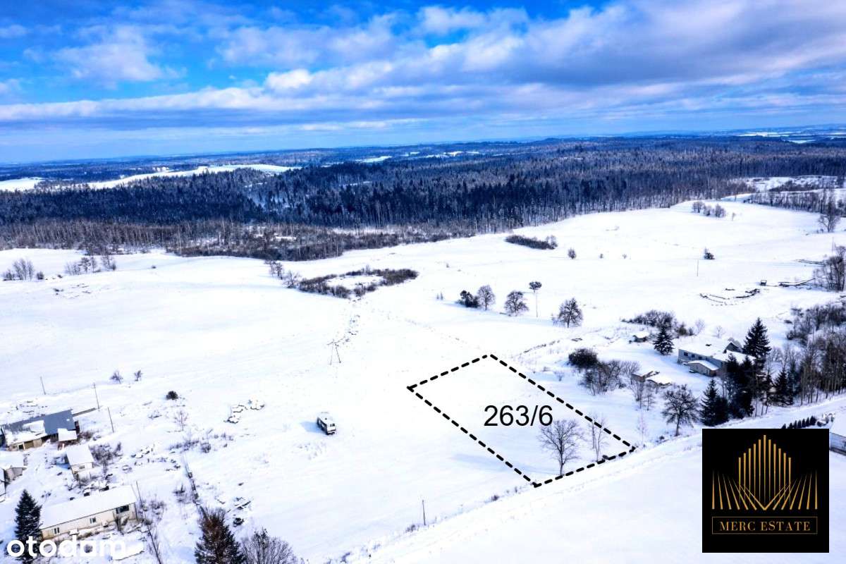 Działka z WZ w Borkach wielkich-0