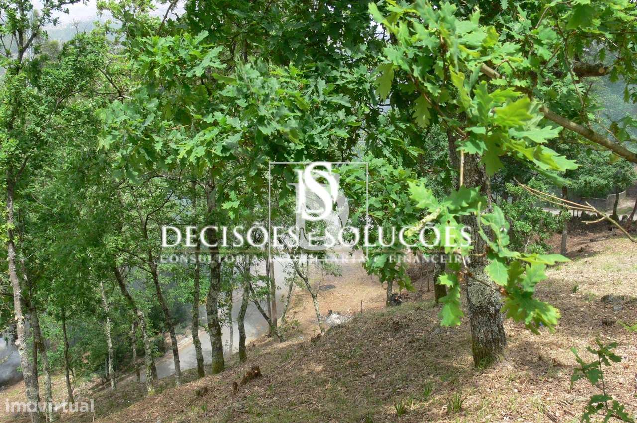 Terreno Não definido em Salamonde-10