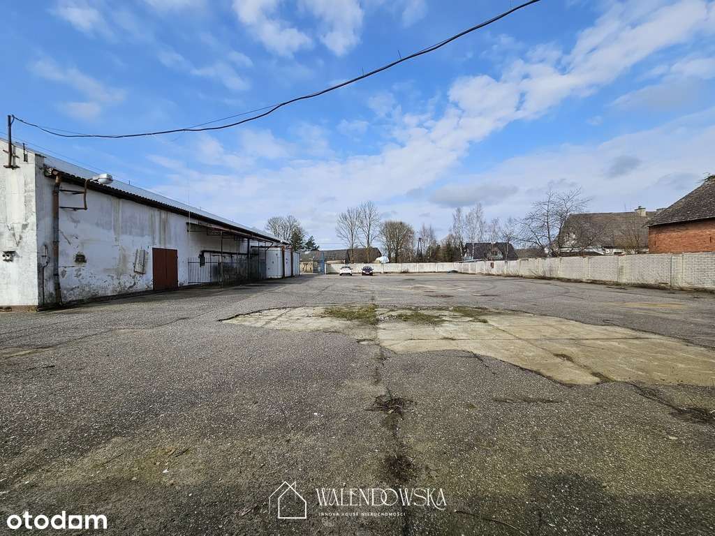 Na sprzedaż nieruchomość inwestycyjna – Staniewice-4