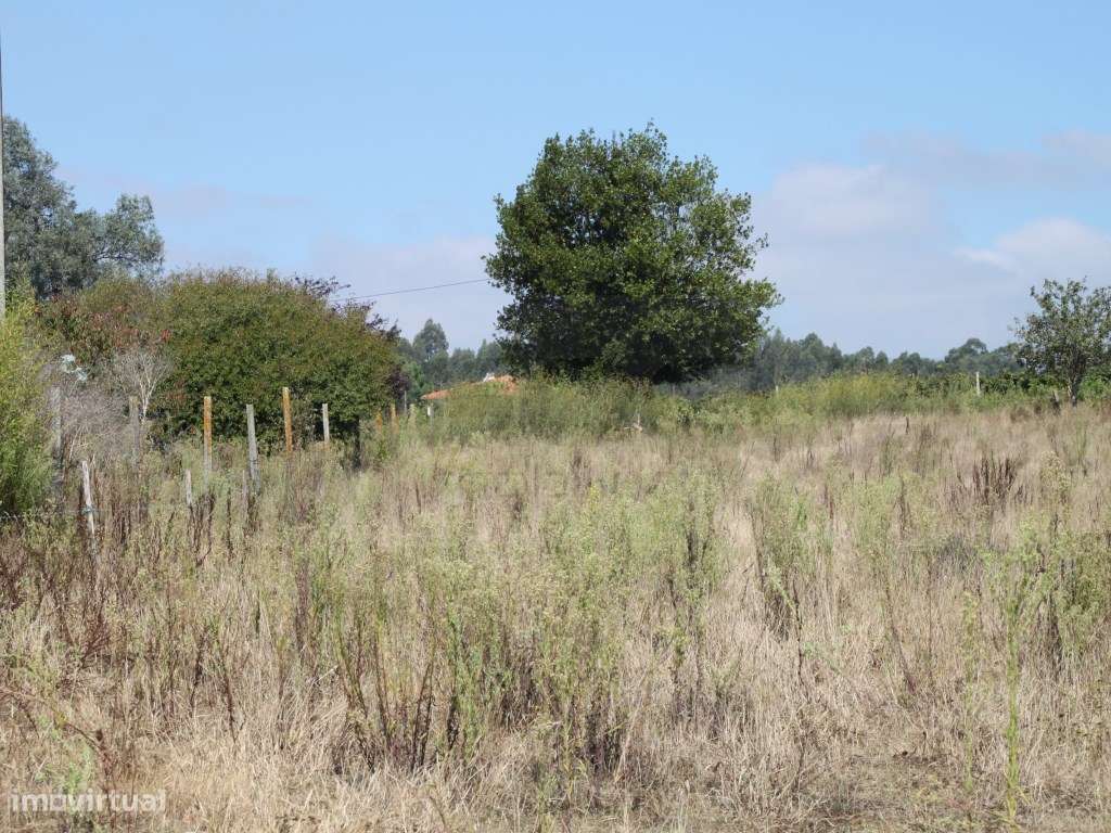 Terreno para moradias - Aveiro - Grande imagem: 2/11