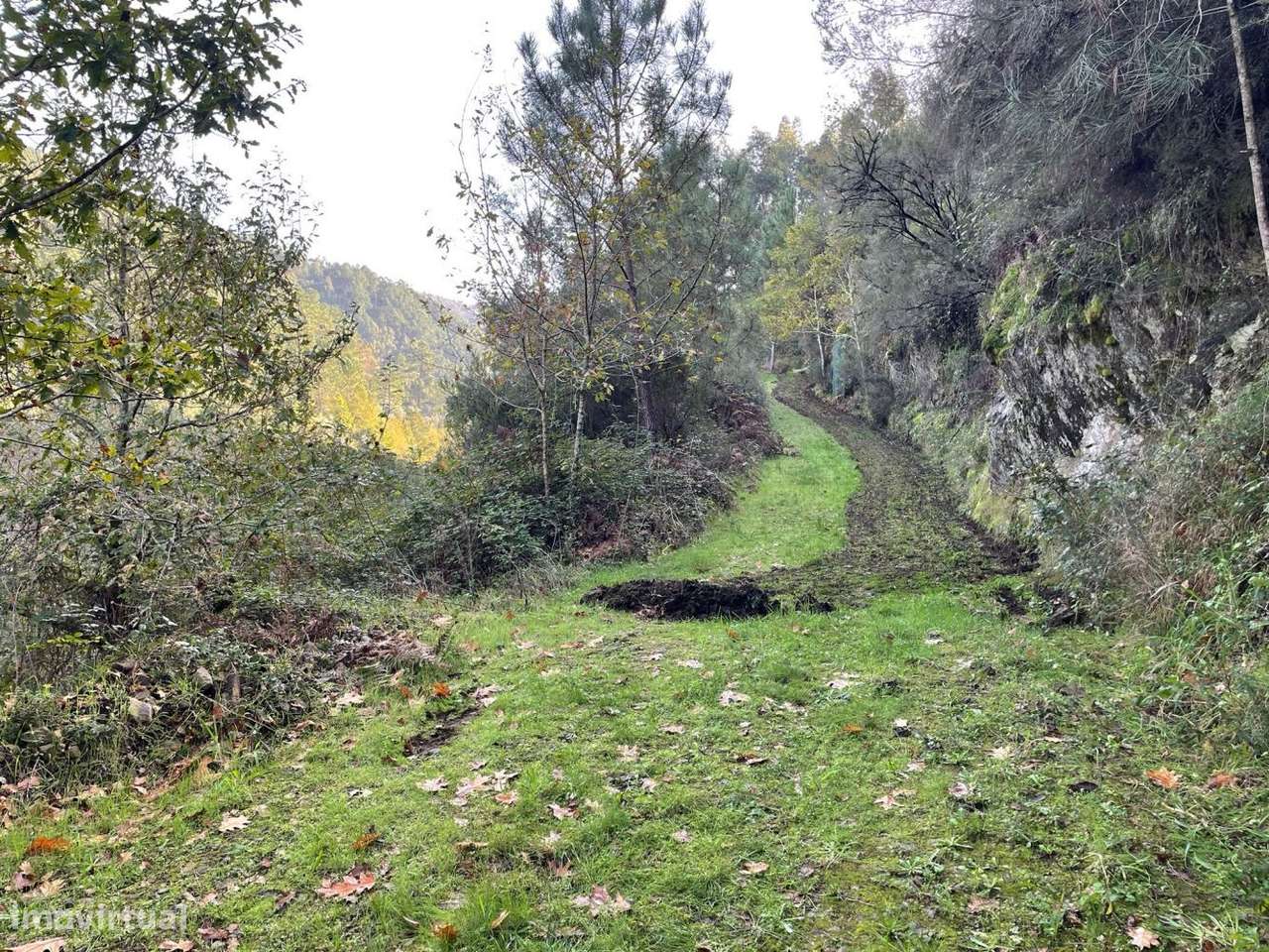 Quinta com casa para recuperar junto a ribeiro-11