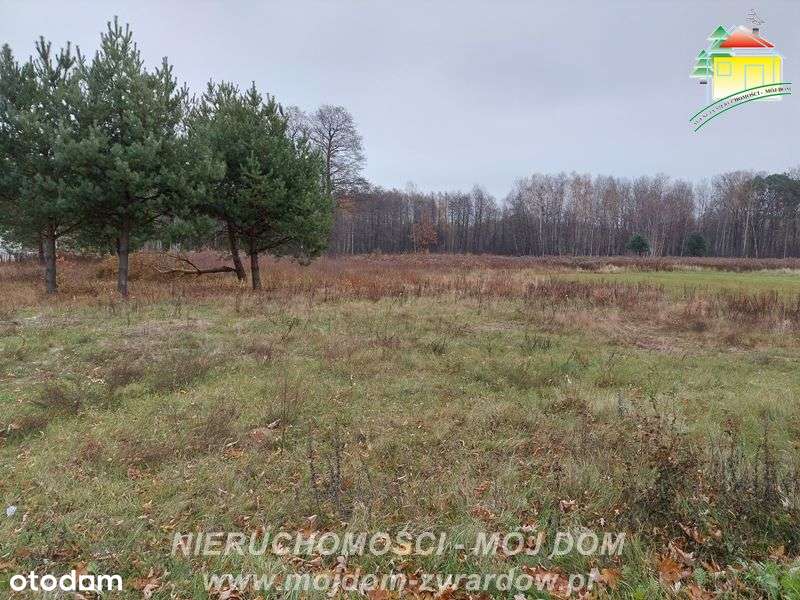 Atrakcyjna działka budowlana, dobra cena :) - Pełny obrazek: 5/5