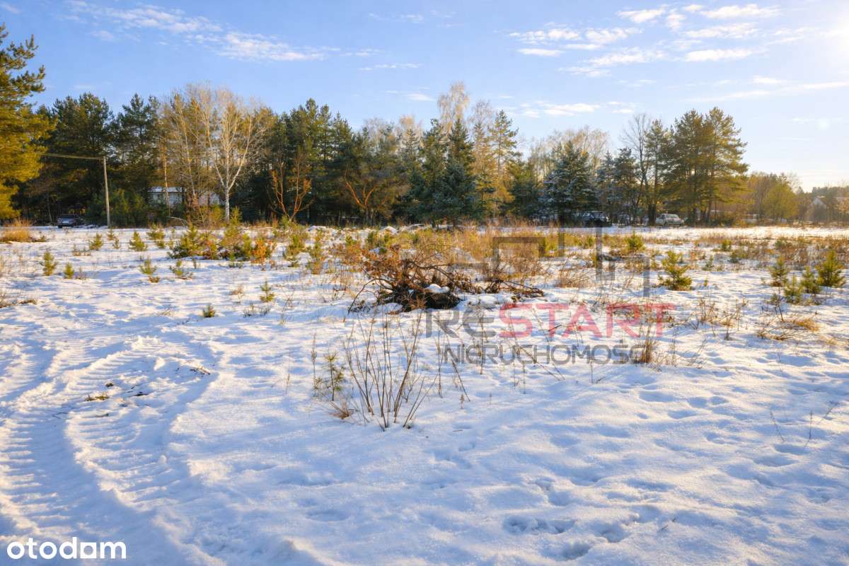 Działka Budowlana 1600 m²–SZCZĘSNE–WŚRÓD ZIELENi-3