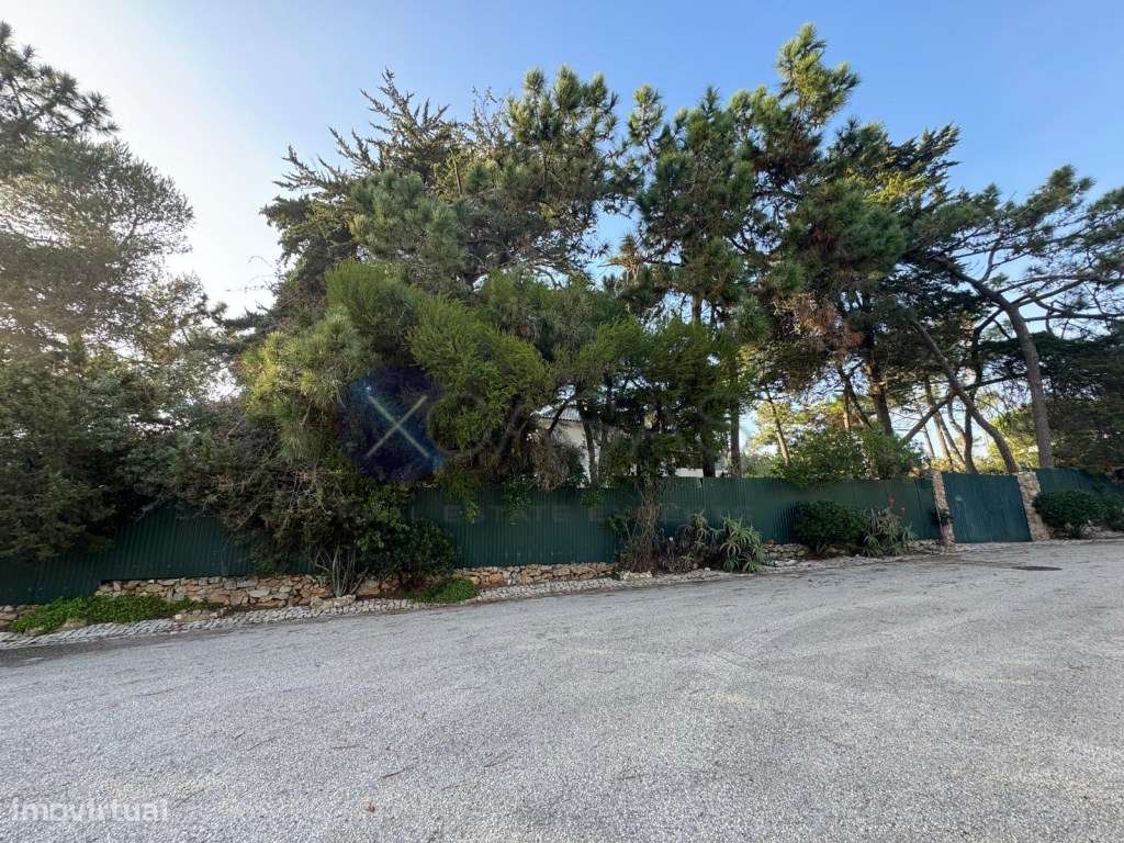 Moradia para obras totais para uma construção máxima de 554 m2, T6 ...-22