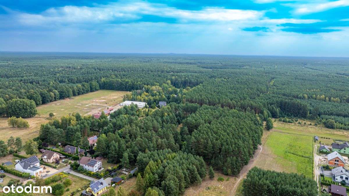 Twoja prywatna oaza w lesie - Pełny obrazek: 5/8