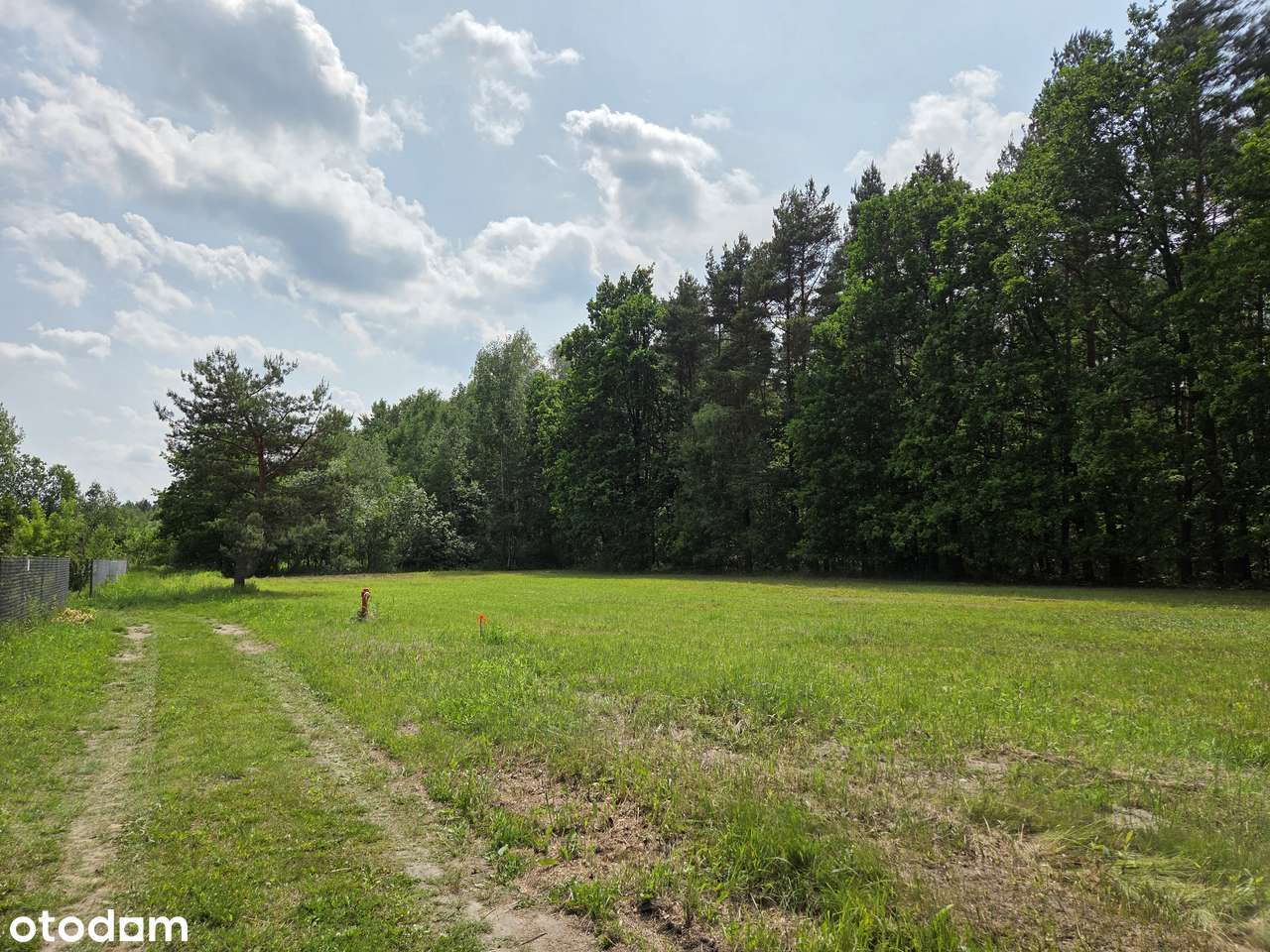 Dwie działki budowlane przy lesie, media, sprzedaż łączna-9