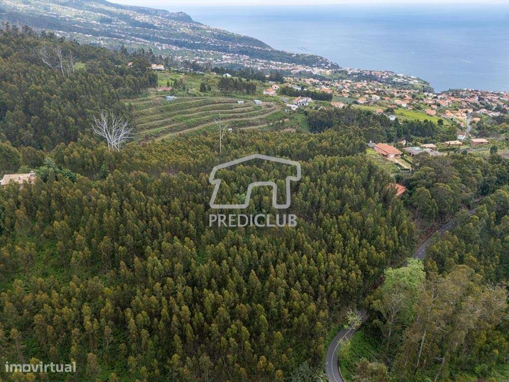 Terreno  889 m2 - Calheta - Grande imagem: 5/13