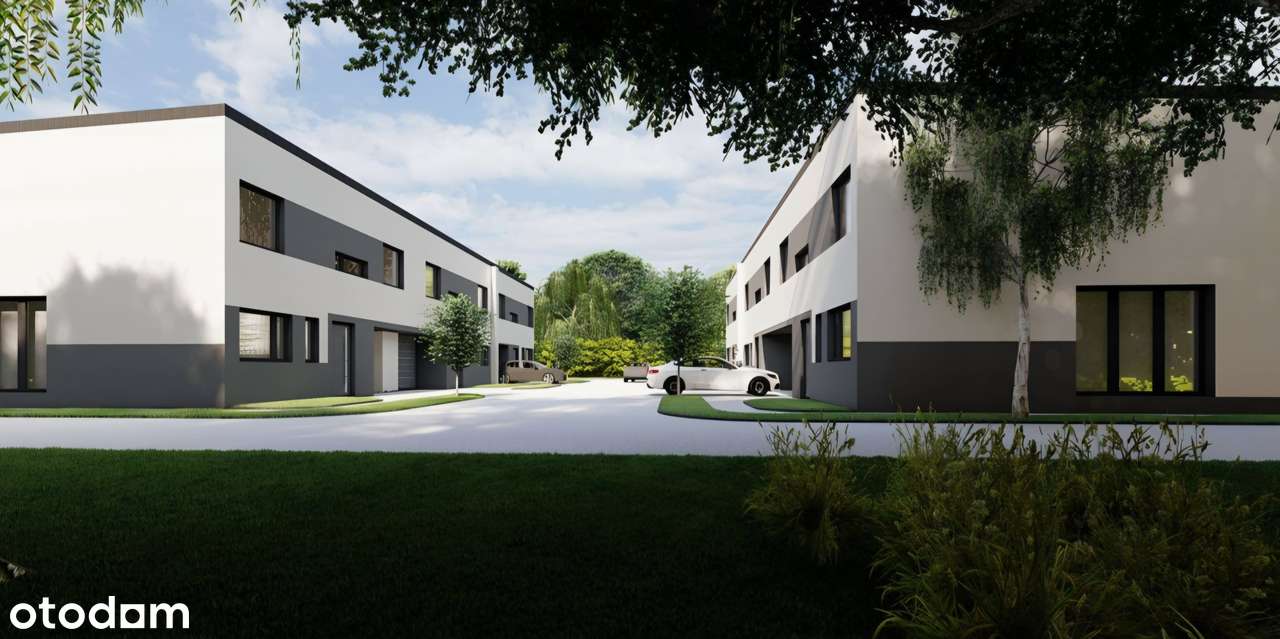 Zespół bliźniaków w stanie deweloperskim otwartym