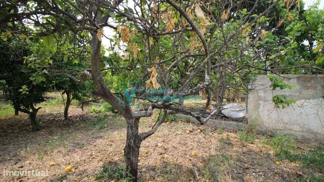 T2 em banda com garagem, jardim e terraço em Faro-13