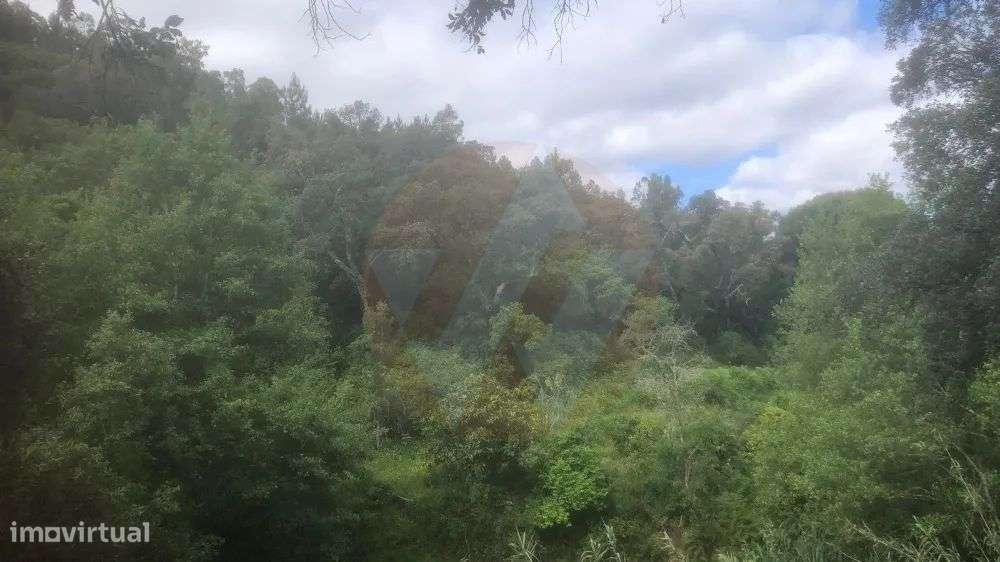 Quintinha Monchique - Grande imagem: 4/13