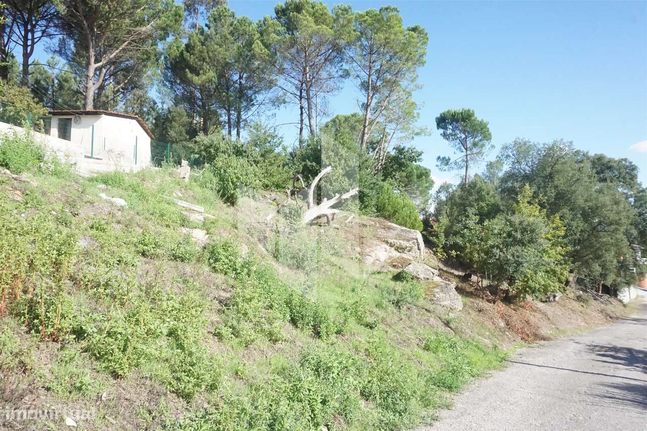 Terreno Para Construção  Venda em Parada de Gonta,Tondela - Grande imagem: 2/5