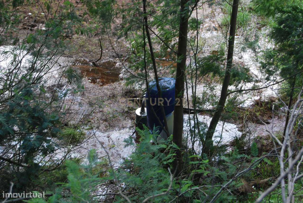 Terreno rústico 28200m2 em Vale do Junco, Chamusca, Golegã-32