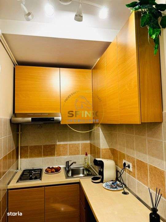 Apartament Ultracentral Piata Unirii Centrala Proprie-2