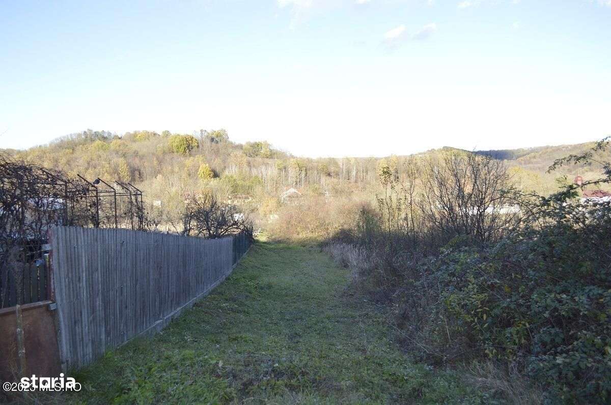 Babana - Centru - Primarie, Teren intravilan 13742 mp - Imagine principală: 3/17