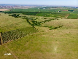 Teren arabil de 156.98 hectare în Trușești