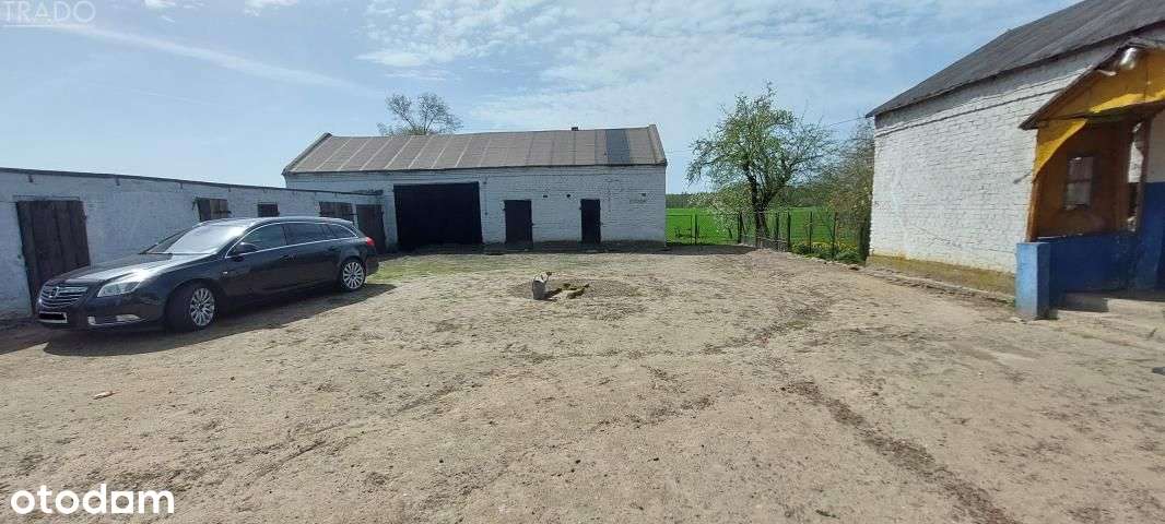 Gospodarstwo 5,72 ha Góraj gm. Babiak - Pełny obrazek: 5/15