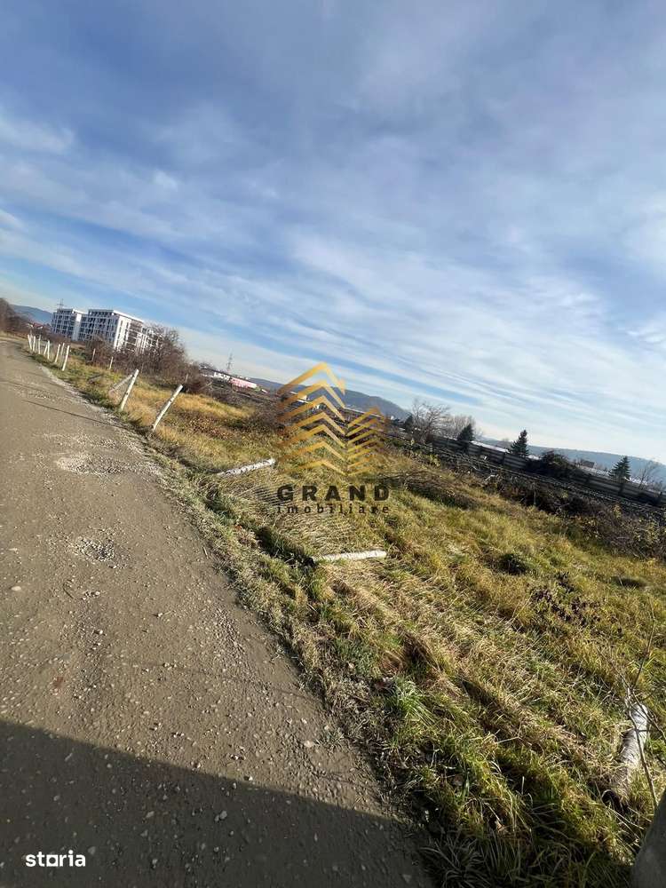 TEREN DE VANZARE PE BRADULUI| 13 ARII DE TEREN| INTRAVILAN - Imagine principală: 1/10