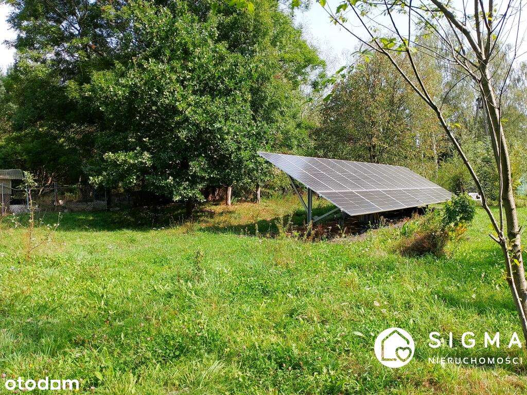 Unikat! Dom wolnostojący na działce 18.000 m2 - Pełny obrazek: 4/13