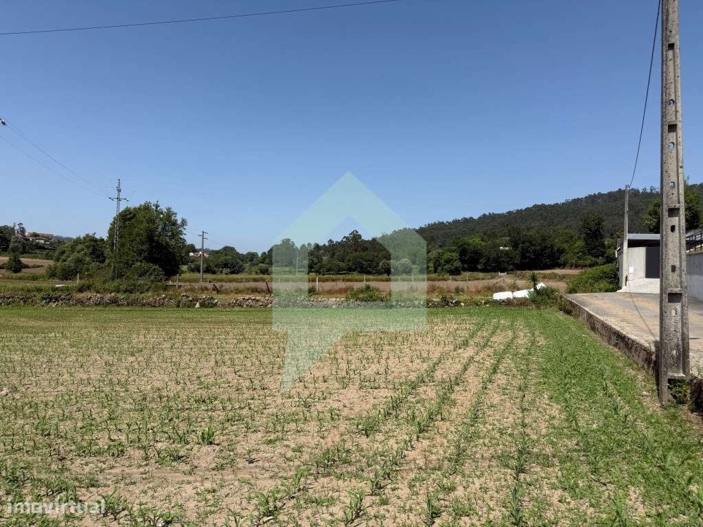 Terreno com Confrontações com Ribeiro e Caminho Municipal em Roriz,... - Grande imagem: 4/20