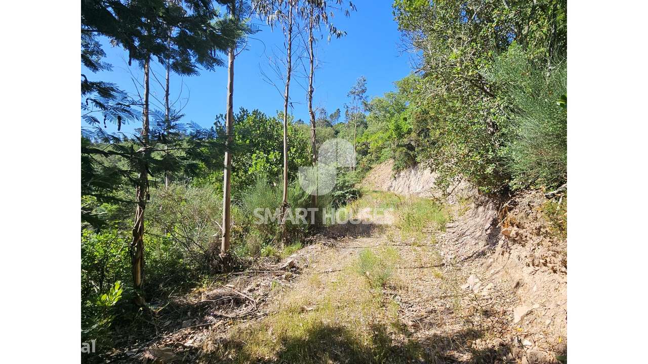 Quinta junto a Rio Alva c/ moradia T3-28