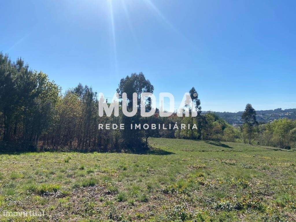 Terreno de 9.160 m2 junto a Zona Industrial - Grande imagem: 2/7