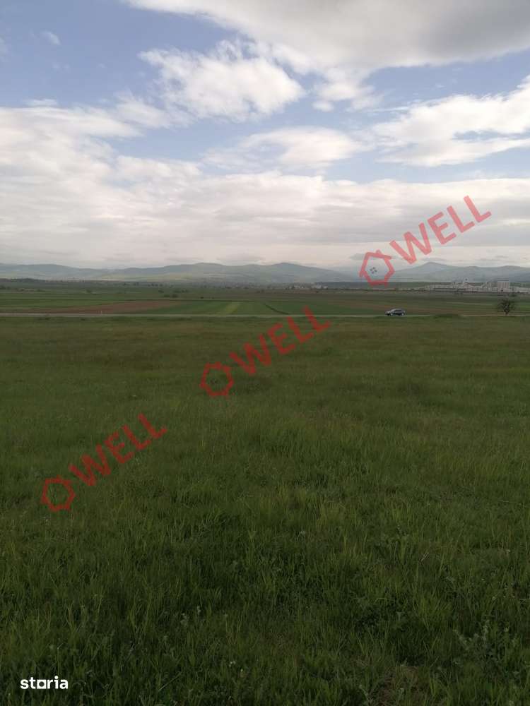 Teren intravilan de vânzare în Moacșa (Eresteghin)! - Imagine principală: 3/10