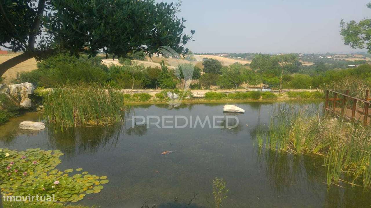 QUINTA com FÁBRICA DE GIN  e CERVEJA ARTESANAL - Grande imagem: 2/32