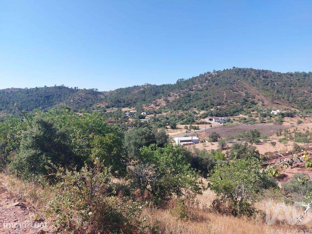 Terreno para construção em Querença, Tôr e Benafim - Grande imagem: 3/12