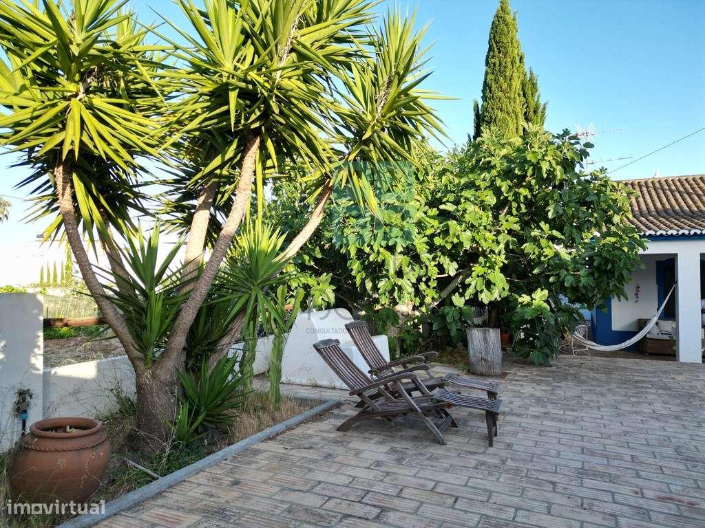 Típica Moradia Algarvia T3, Fonte Santa, Vila nova de Cacela-15
