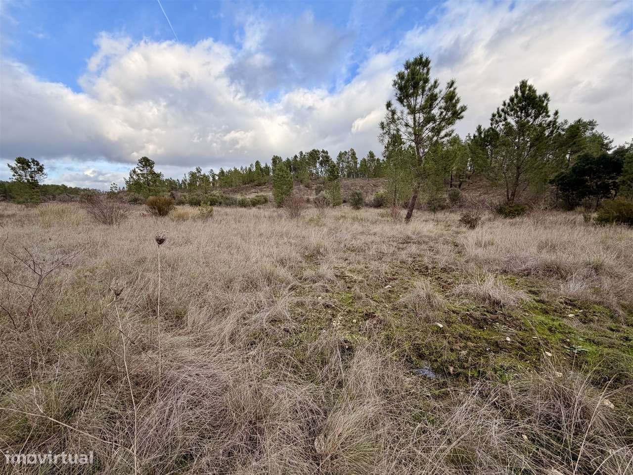 Quinta T0 Venda em Sarzedas,Castelo Branco-9