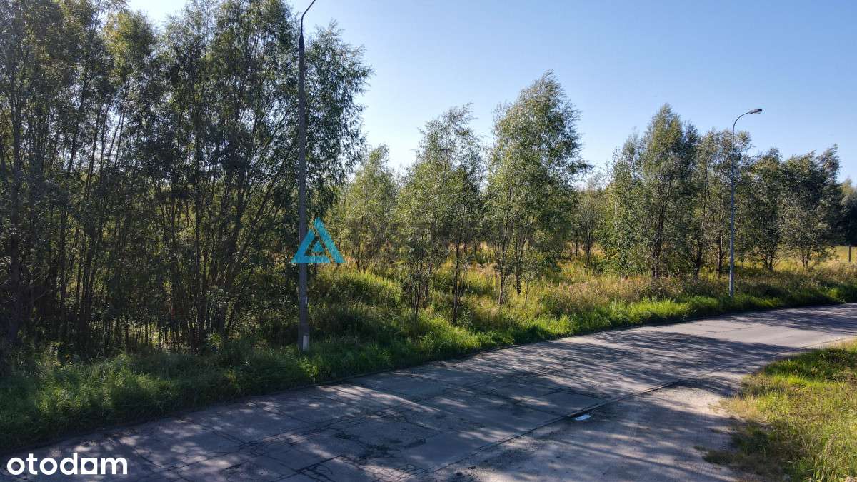 Działka 3001 m blisko centrum Gdańska - Pełny obrazek: 4/20