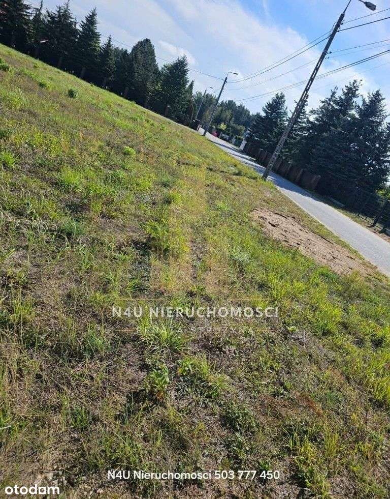 Super cena! Załatwione dokumenty do zakupu Media !-1