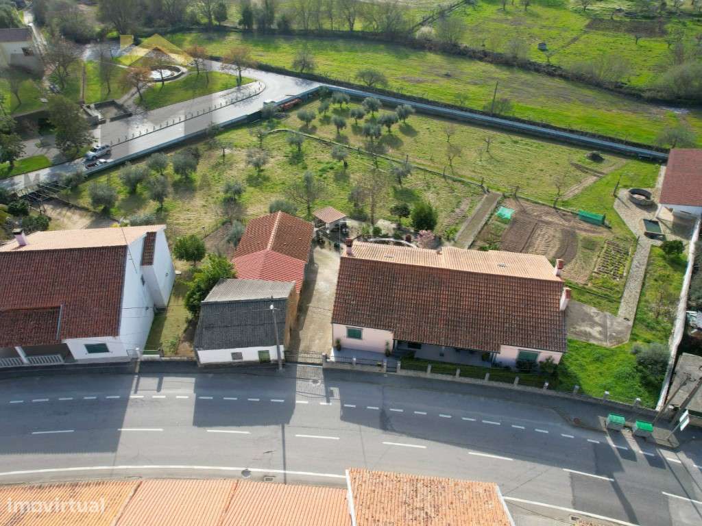 Moradia T4 com 5000m2 de terreno - Escalos de Baixo (Castelo Branco)-32