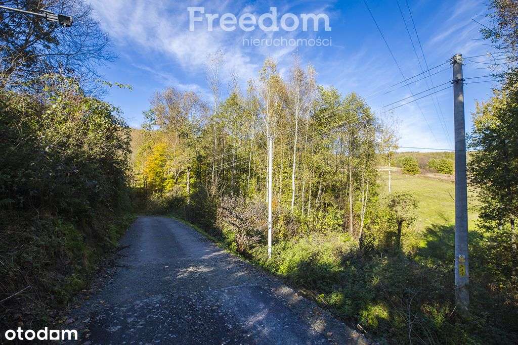 Działka z lasem i widokem_24 a - Pełny obrazek: 2/11