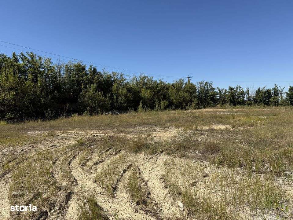 Teren 32.000 mp, oportunitate investitie case/hale Grosi Baia Mare - Imagine principală: 2/4