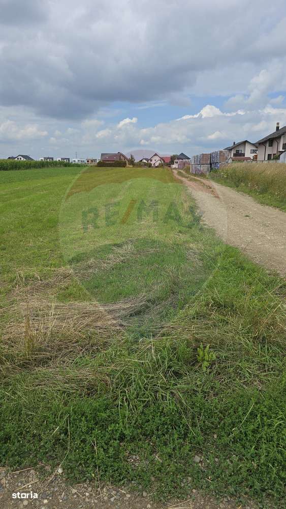 Teren 1,791mp Radauti / Strada Caramidariei - Imagine principală: 5/5