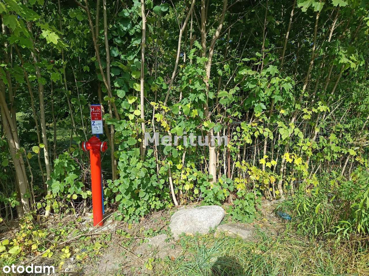 Kompleks 8 działek sprzedawanych w całości. - Pełny obrazek: 3/7