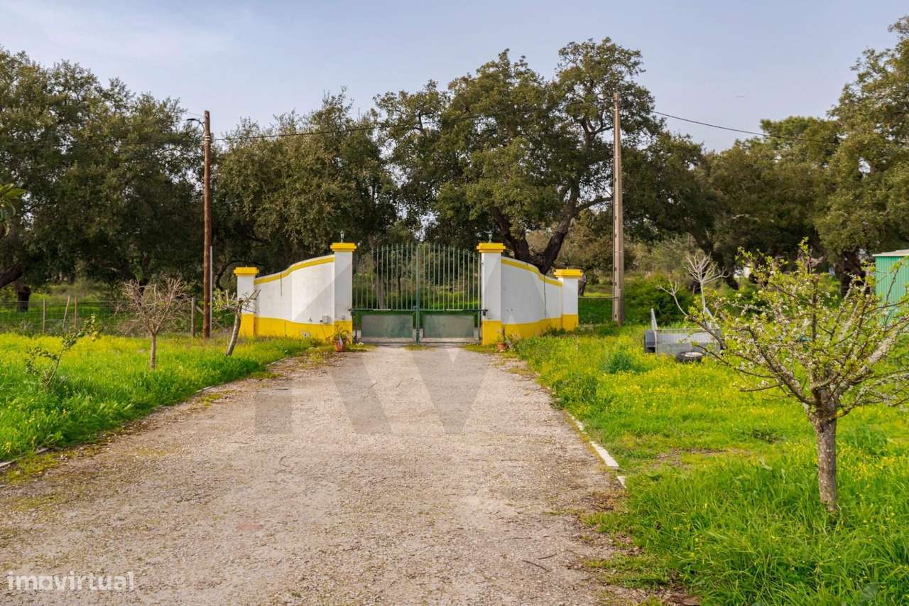 Monte Alentejano de Charme com 4 quartos | 1,3 ha | Litoral Alentejano-36