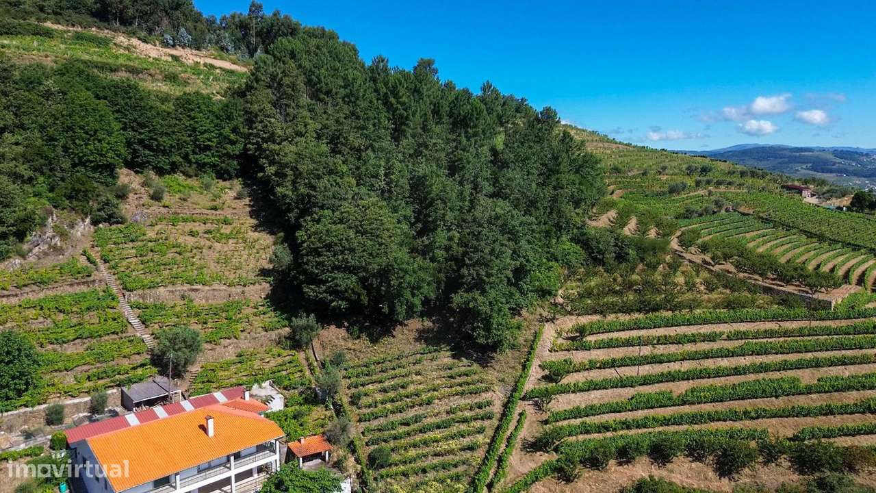 Quinta  para venda - Grande imagem: 3/18