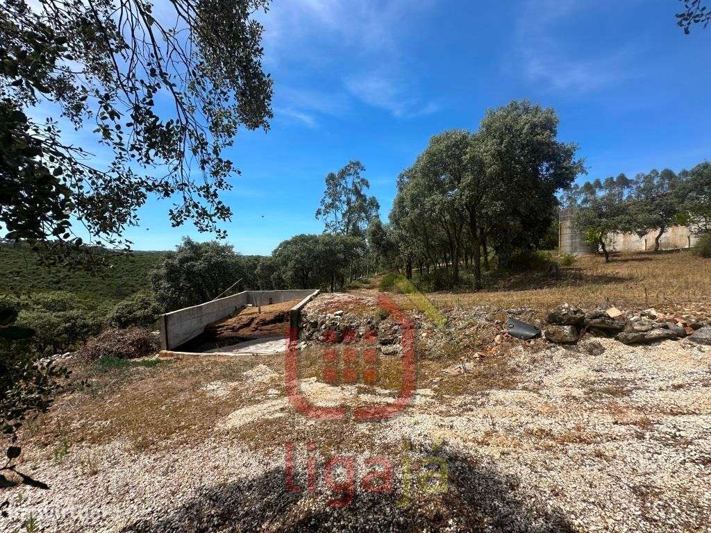 Armazém Industrial/Agropecuário com 9.700 m² de Terreno | Entre Our...-10