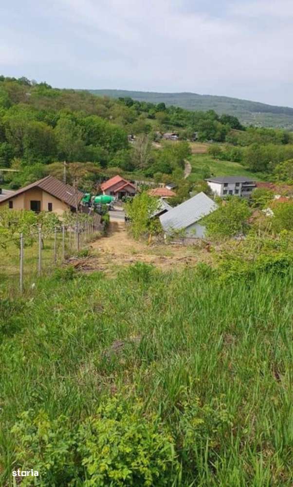 65.500 euro Teren IASI Tomesti la DN 1374 mp intravilan utilitati - Imagine principală: 4/7