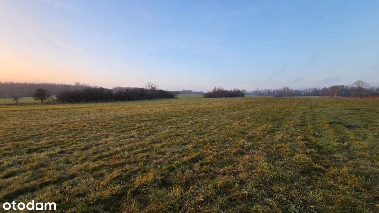 Na sprzedaż działka w miejscowości Młynary-7