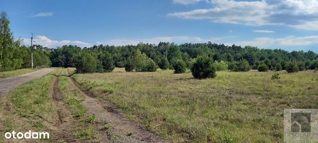 Wyjątkowe, 18km od Bydgoszczy, lokata kapitału!-4